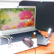 Sony vaio f13 gebraucht kaufen  Oberweißbach/Thür. Wald
