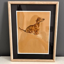 Original drawing dachshund for sale  Camp Hill