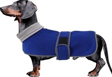 Dachshund sausage dog for sale  GLASGOW
