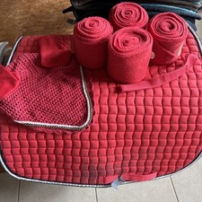 Pinkes eskadron dressur gebraucht kaufen  Oberneukirchen