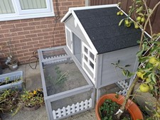 Guinea pig rabbit for sale  BANGOR