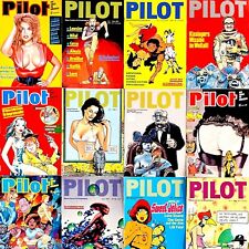 Pilot zeitschrift magazin gebraucht kaufen  Esslingen am Neckar