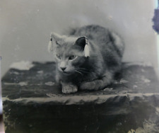 Antique tintype photo for sale  Johnson