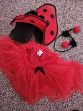 Lady bug costume for sale  Prescott