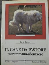 Breber cane pastore usato  Montecatini Terme