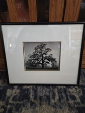 Ansel adams black for sale  Brighton