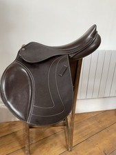 Premier equine 16.5 for sale  TIVERTON