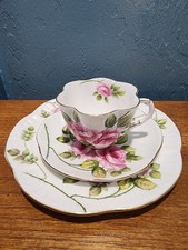 Shelley fine bone for sale  Port Charlotte