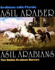 Asil araber asil gebraucht kaufen  Remscheid