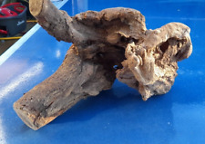 Natural vivarium stump for sale  HEATHFIELD