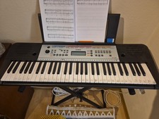 Yamaha ypt 260 gebraucht kaufen  Eggenstein-Leopoldshafen