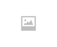 6r1614105r amplificatore forza usato  Ferrara