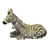 Zebra foal baby for sale  Santa Maria