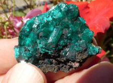 Cristaux dioptase 3.5x2.5cm d'occasion  Lagnieu