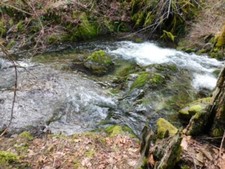 Arce gold mining for sale  Jacksonville