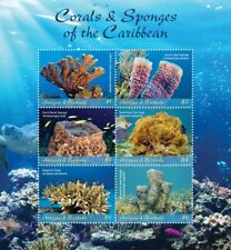 Corals sponges sea for sale  PONTYPRIDD