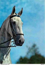 Animals horses horsehead d'occasion  Expédié en Belgium
