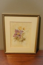 Clematis nosegay cheri for sale  East Sparta