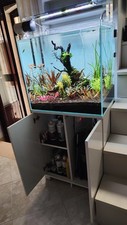 Acquario 120 litri usato  Terlizzi