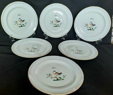 Spode queen bird usato  Genova