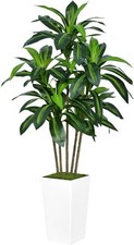 Artificial dracaena plant for sale  SALFORD