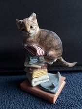Country artists kitten for sale  NORWICH