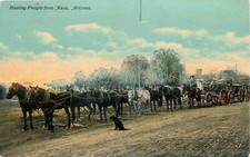 Cartão postal 1915 Mesa Arizona transporte frete McNeil #58 animais 25-2979 comprar usado  Enviando para Brazil