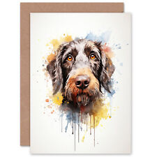 Wirehaired german pointer for sale  EDINBURGH