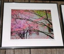 Larry kanfer signed for sale  Ypsilanti