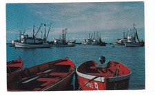 Monterey harbor california for sale  Barry