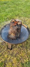 Schwedenfeuer finnenfackel nat gebraucht kaufen  Müllrose
