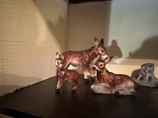Porcellana famiglia asini usato  Genova