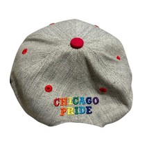 Chicago pride bulls for sale  Saint Augustine