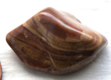 Bustamite tumble south for sale  Cedar Rapids