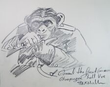 Pencil drawing chimpanzee for sale  WIRRAL