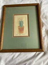 Signed brooke morrison for sale  Honolulu