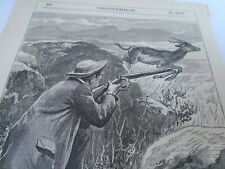 Martini henry springbok for sale  SKIPTON