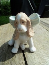 nao puppy for sale nao puppy for sale BLYTH