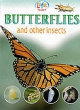 Butterflies insects sally for sale  UK