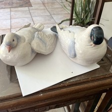 ceramic doves for sale ceramic doves for sale Boonton