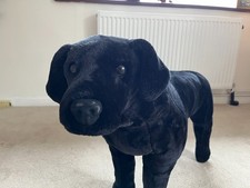 Large cuddly dog for sale  WEYMOUTH