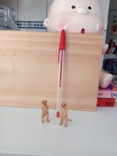 Playmobil lot suricate d'occasion  Cagnes-sur-Mer
