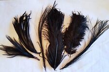 Antique 1900 feathers d'occasion  Expédié en Belgium