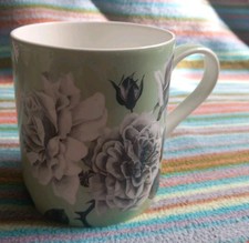 graham thomas rose for sale graham thomas rose for sale ROCHDALE