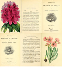 Magazine of Botany and Register of Flowering Plants (1834-1849) - 16 Vols on DVD comprar usado  Enviando para Brazil
