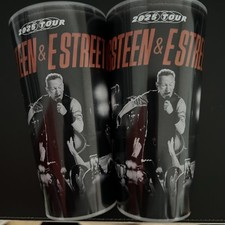 Bruce springsteen 2025 gebraucht kaufen  Niedernberg
