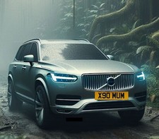 X90 mum cherished for sale  BRENTWOOD
