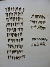 Split pins butterfly for sale  AYLESBURY