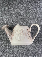 Fosters pottery watering for sale  LOUTH
