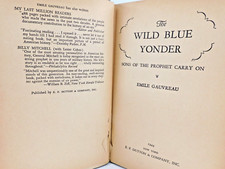 Wild blue yonder for sale  Island Lake